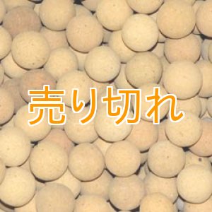 画像: 超遠赤外線セラミックボール 直径20mm/25Kg