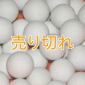 画像: ゼオライトセラミックボール　15ｍｍ/1Kg